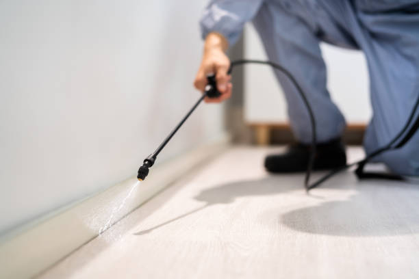 Licensed Fumigation Services service in Accomack County County, VA - Nex Pest Control